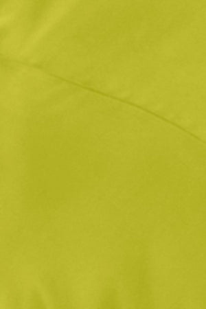Zesty Lime